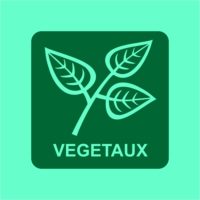 Sticker tri sélectif des végétaux Panneau ou sticker pour le recyclage des déchets végétaux