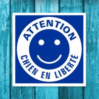 Sticker chien en liberté