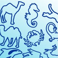 Stickers animaux pour la décoration des chambres d'enfants 16 stickers éducatifs