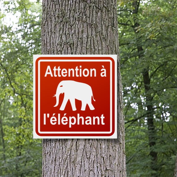 Sticker attention à l'éléphant à coller