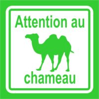 Sticker autocollant attention au chameau
