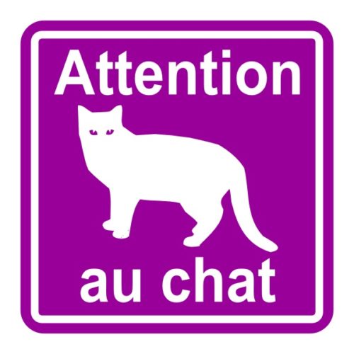Sticker attention au chat