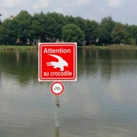 Sticker ou panneau attention au crocodile Panneau ou sticker autocollant attention au crocodile