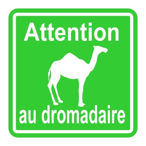 panneau à coller attention au dromadaire