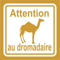 Panneau attention au dromadaire Sticker humour attention au dromadaire