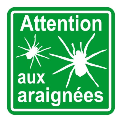 Sticker à coller attention aux araignées