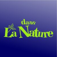Sticker de porte nature pour les toilettes classique Sticker décoratif style classique naturel pour les WC
