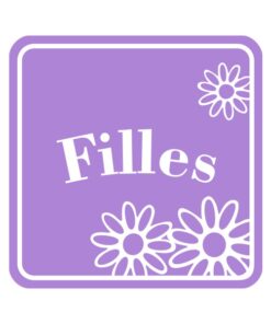 Panneau ou sticker pour toilettes filles autocollant