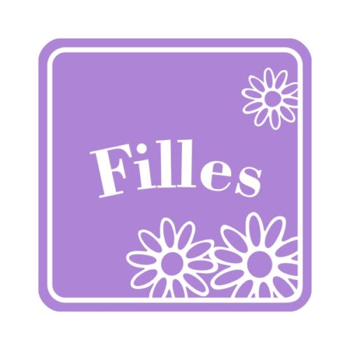 Panneau ou sticker pour toilettes filles autocollant