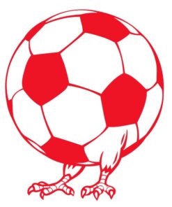 Sticker humour ballon de foot avec pattes de coq