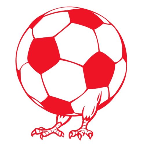 Sticker humour ballon de foot avec pattes de coq
