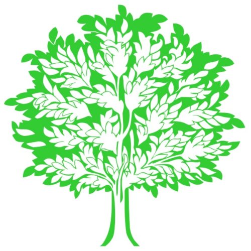 Sticker d'un arbre façon orientale pour la décoration murale