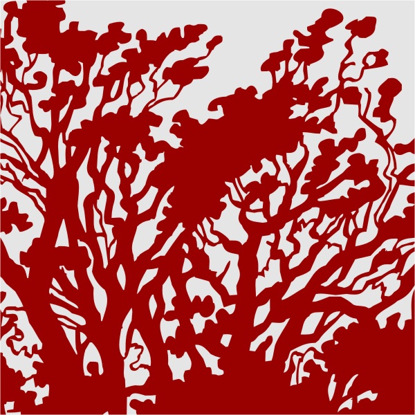 Sticker d'un arbre chêne vert pour la décoration des murs de la maison