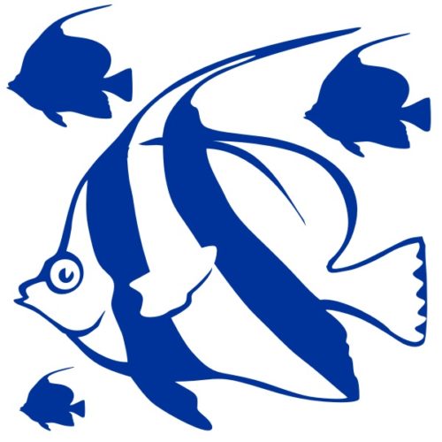 Stickers poissons d'aquarium le Cocher Grégaire