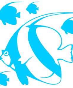 Stickers poissons d'aquarium le Cocher Commun