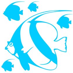 Stickers poissons d'aquarium le Cocher Commun