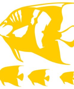 Stickers poissons aquarium l'Ange Géographe