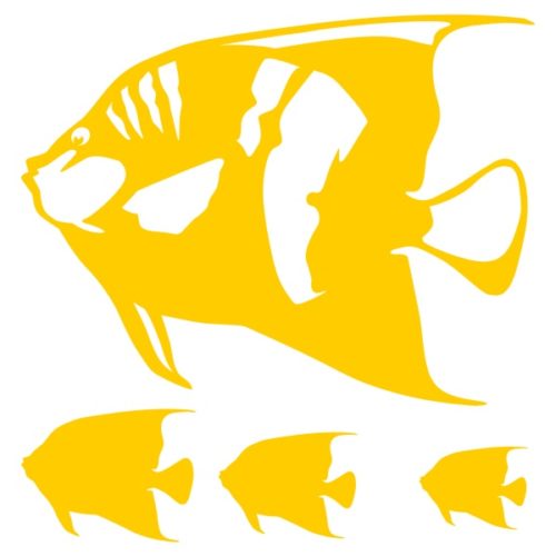 Stickers poissons aquarium l'Ange Géographe