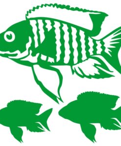 Stickers poissons le Bel Inconnu