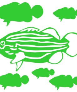 Stickers déco poissons le Mérou à rayures