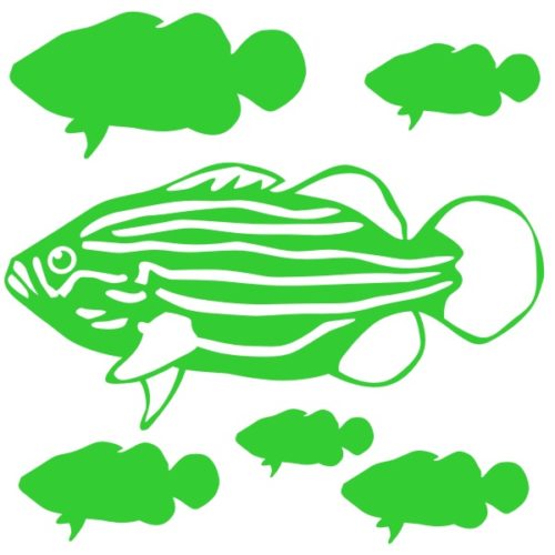 Stickers déco poissons le Mérou à rayures