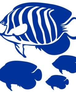 Stickers déco poissons l'Ange Royal