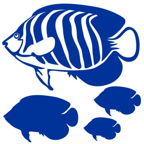 Stickers déco poissons l'Ange Royal