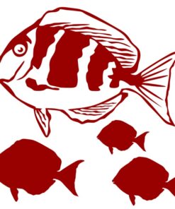 Stickers déco poissons l'Autre Bel Inconnu