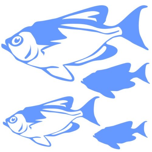 Stickers déco poissons le Priacanthe Commun