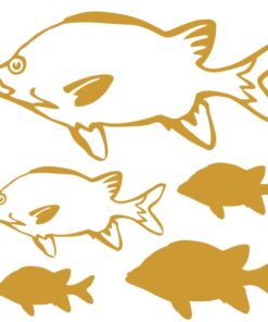 Stickers poisson le Grand Ecureuil de Mer