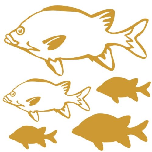 Stickers poisson le Grand Ecureuil de Mer