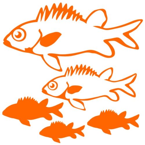 Stickers poisson du Floméo Samara