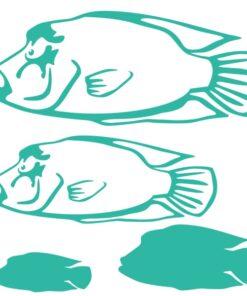 Stickers du poisson Napoléon pour la décoration des aquariums