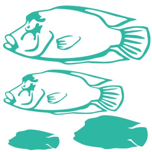 Stickers du poisson Napoléon pour la décoration des aquariums