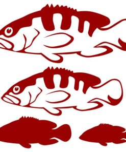 Stickers du Mérou Oriflamme pour la décoration murale