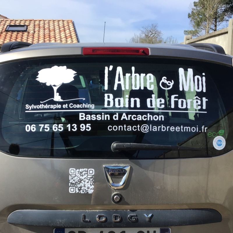 Lettrage et logo adhésif sur vitre arrière de voiture d'entreprise