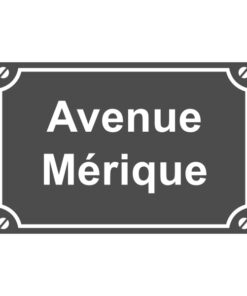 Sticker ou plaque de rue avenue mérique