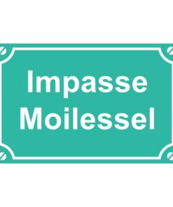 Sticker ou plaque de rue impasse moi le sel