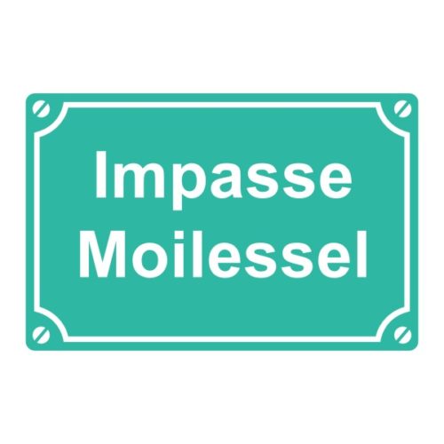 Sticker ou plaque de rue impasse moi le sel