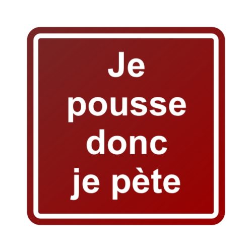 Sticker signalétique humour pour les toilettes et le WC, je pousse donc je pète