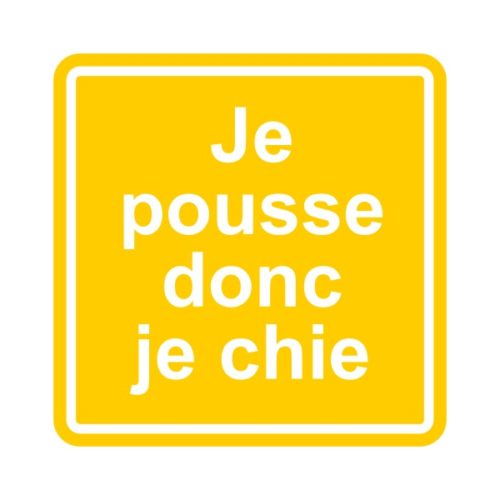 Sticker signalétique humour pour les chiottes et le WC, je pousse donc je chie