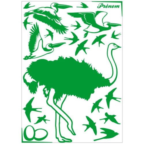 Stickers autruche et pélicans décoration chambre enfant