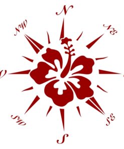 Sticker décoration Surf Rose des vents hibiscus