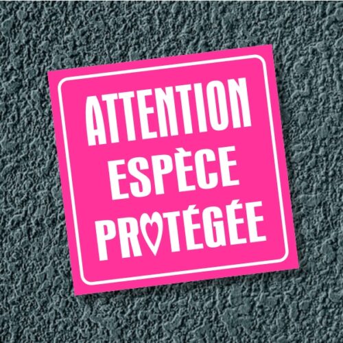 Autocollant Attention espèce protégée Sticker autocollant espèce protégée