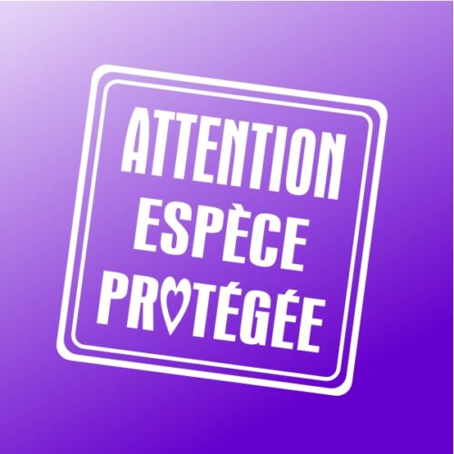 Panneau porte Attention espèce protégée Sticker pour espèce protégée