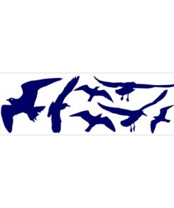 Stickers de mouettes en vol